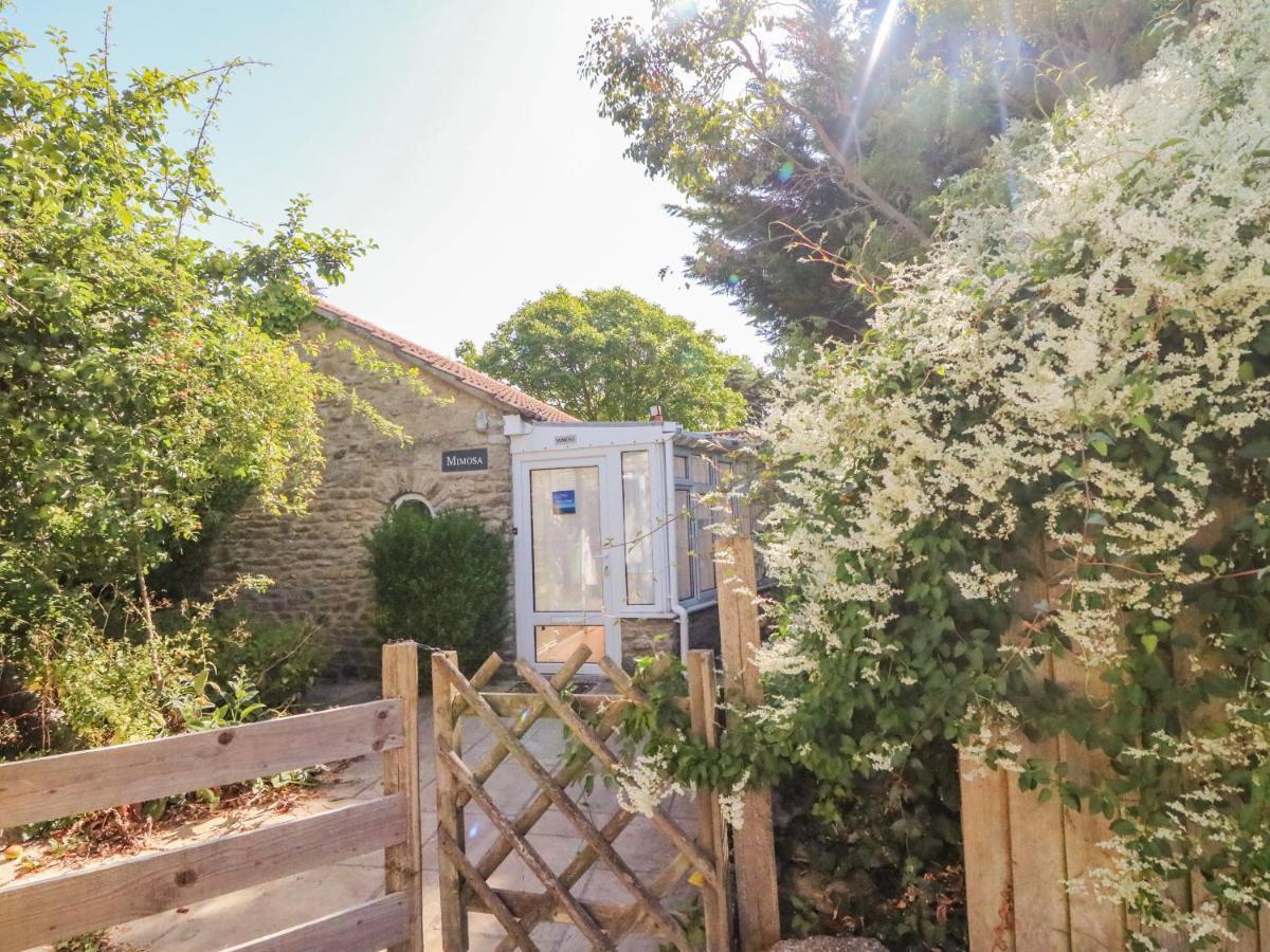 Mimosa Cottage Swyre 외부 사진
